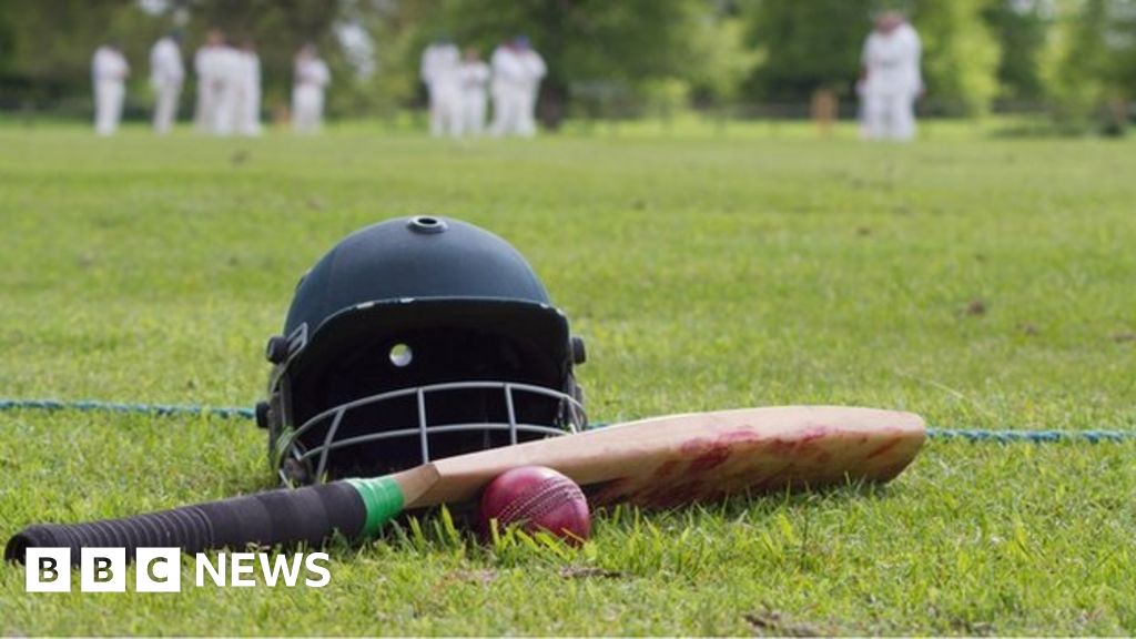 Half of cricket umpires face verbal abuse research BBC News