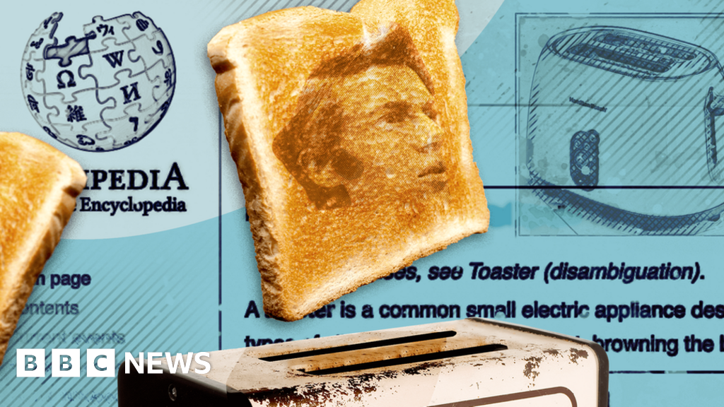 Alan MacMasters: How the great toaster hoax was exposed