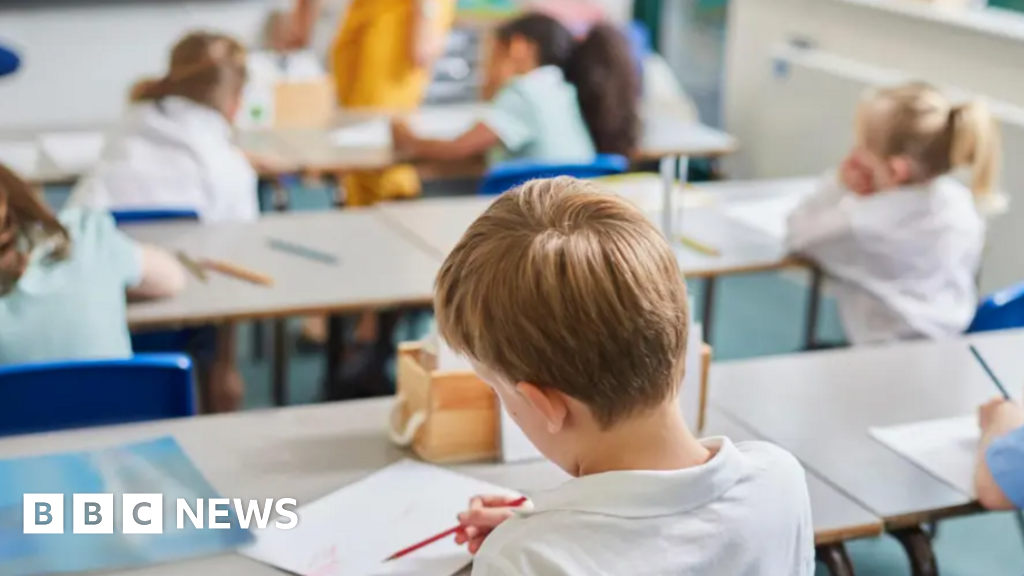 Urgent reform needed for special education 'crisis' - councillor