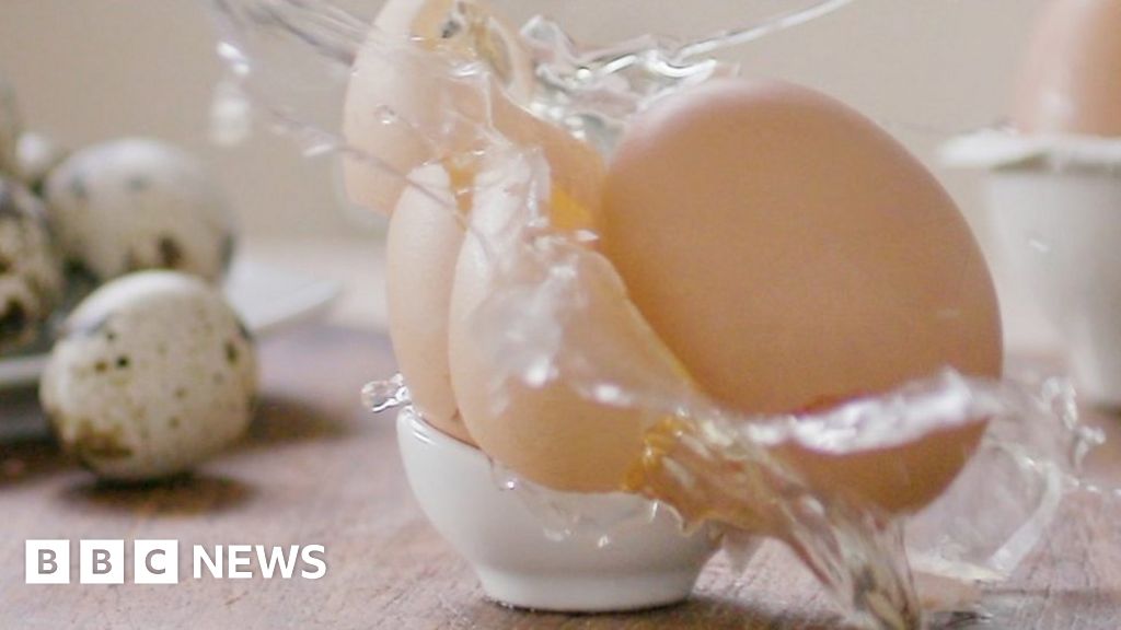 Food Allergies Seven Myths Debunked Bbc News