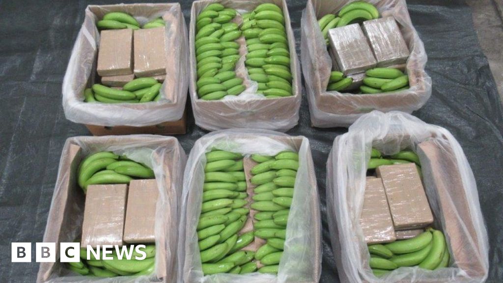 Cocaine worth £450m found in cargo of bananas at Southampton Port