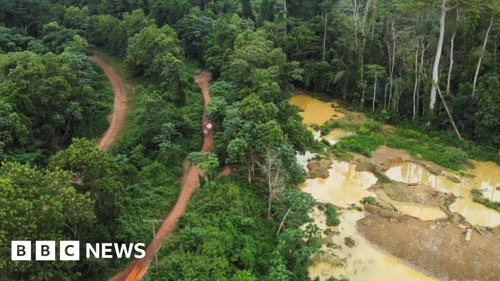 Galamsey Ghana s Illegal Gold Mining Industry Causes Environmental Galamsey Ghana s Illegal Gold Mining Industry Causes Environmental