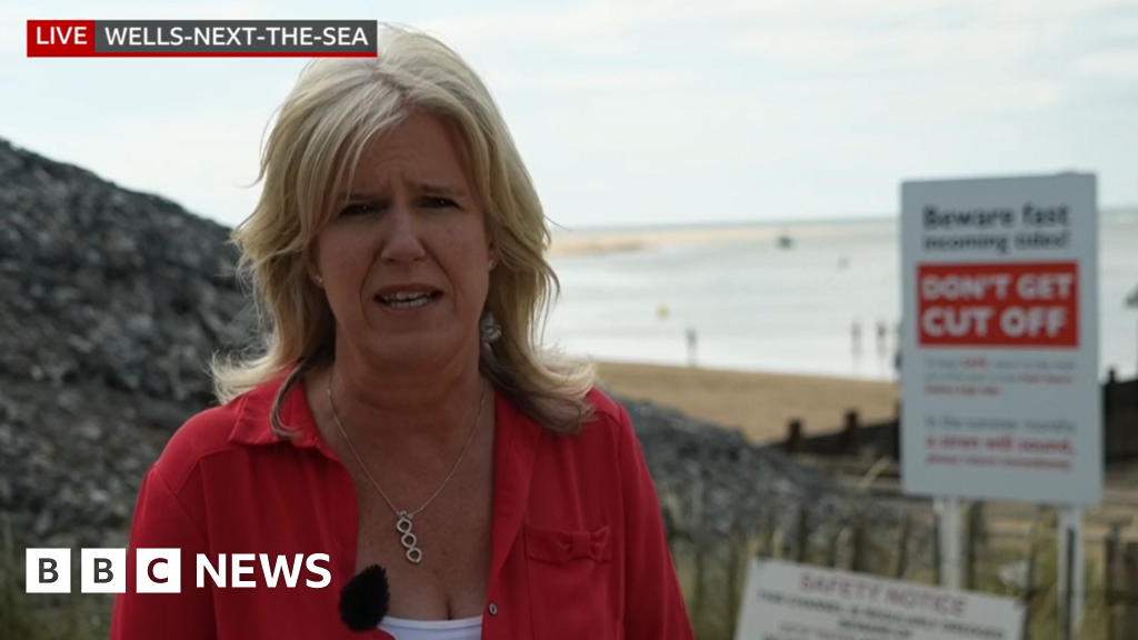 Boy's sea rescue captured on live TV report