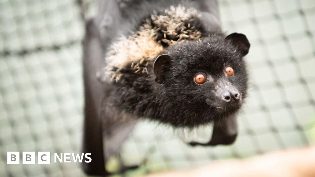 bbc.co.uk - Weekly round-up: Stories you may have missed