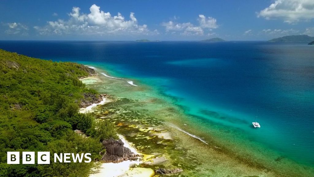 How Seychelles ocean plants could help tackle climate change
