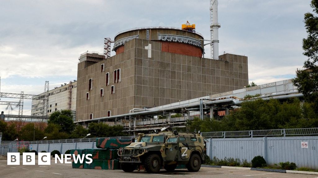 Ukraine war: UN says blackout threatens Zaporizhzhya nuclear plant