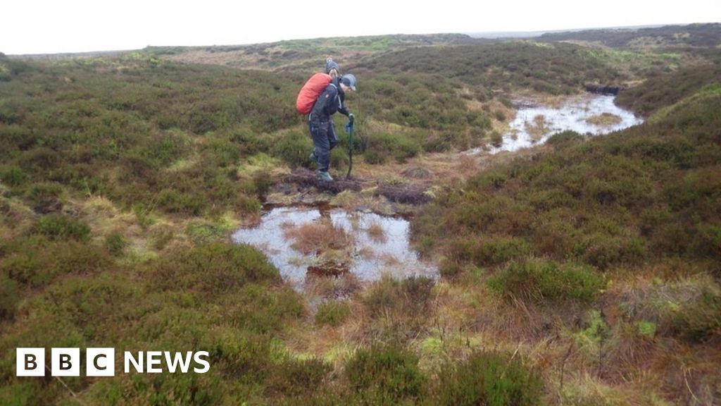 Greater Manchester peat bog restoration to aid climate change fight