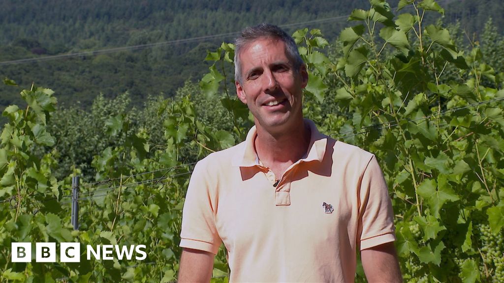 bbc.co.uk - Andrea Ormsby - Heat putting South West's winemakers in 'uncharted territory
