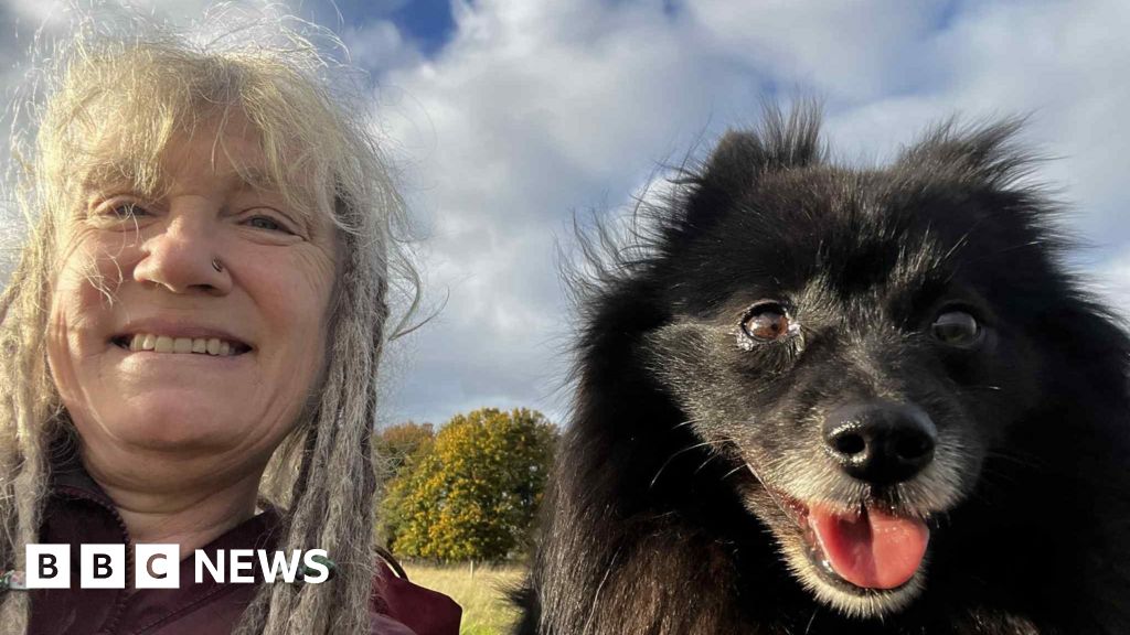 Rise in vet bills leave pet owners cutting back Rise in vet bills leave pet owners cutting back