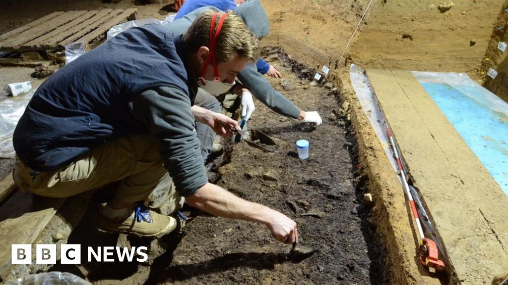 Longer overlap for modern humans and Neanderthals - BBC News