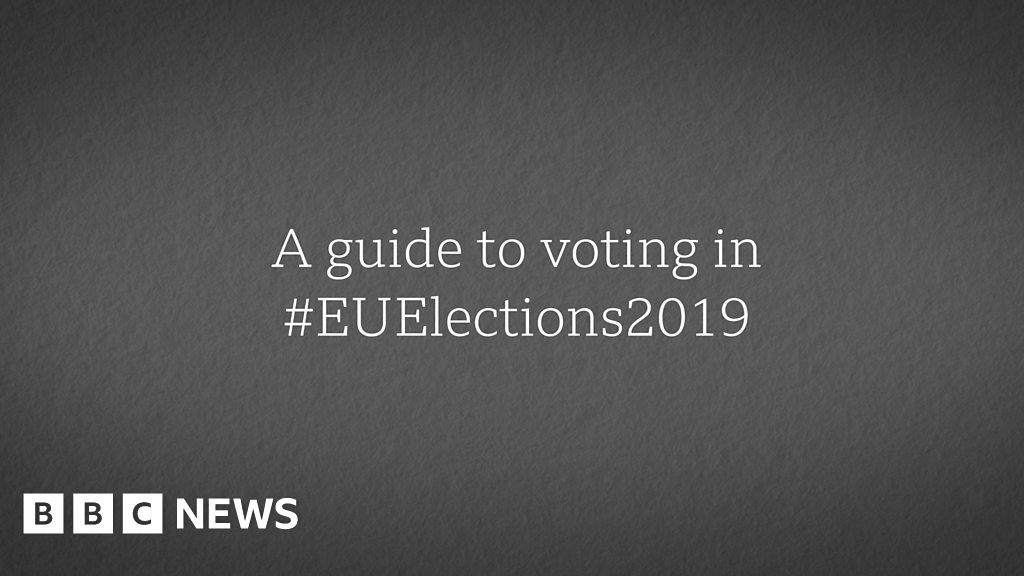 A guide to voting in the European elections BBC News