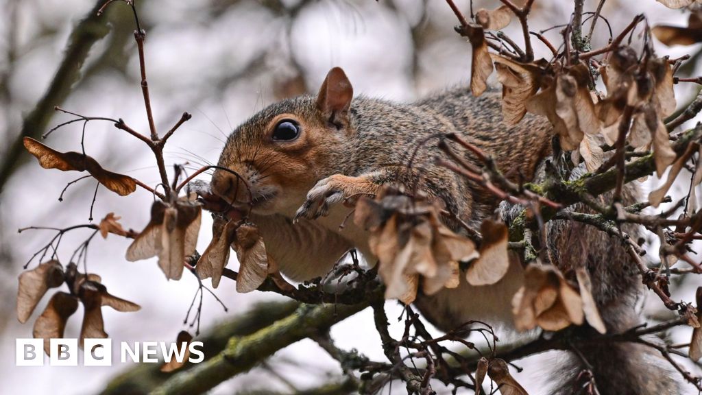 Cultural festival funding still unclear - report