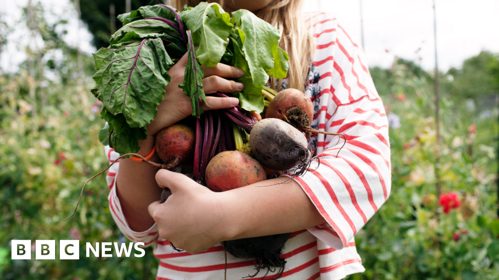 bbc.co.uk - Kumail Jaffer - Call for London-wide right to grow food on unused public land
