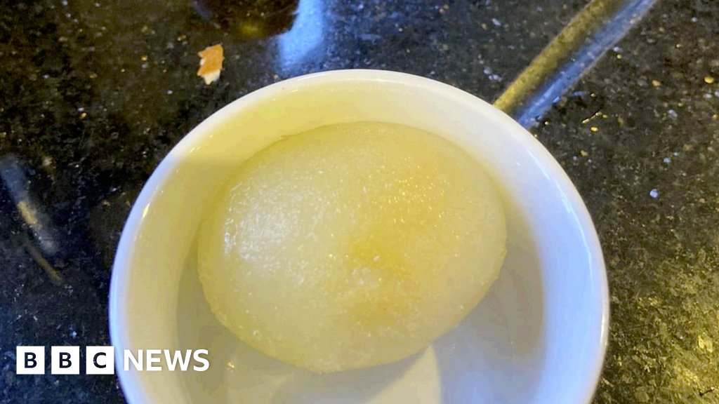 Frozen 'egg ice lolly' collected from Staffordshire hen coup 