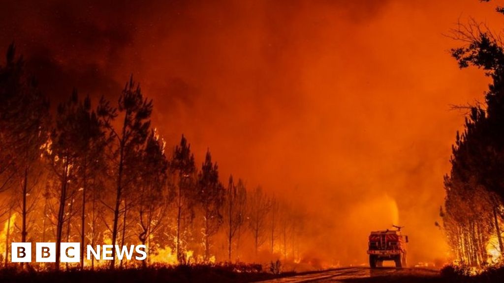 France firefighters battle ‘monster’ wildfire near Bordeaux