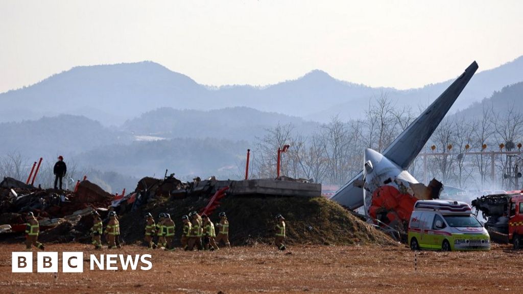 South Korea plane crash: Dozens dead at Muan airport