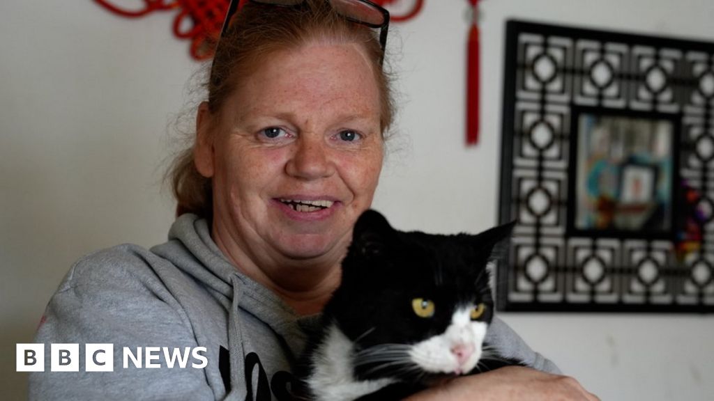 Cost of living: Pet owner would 'rather starve' to feed cats