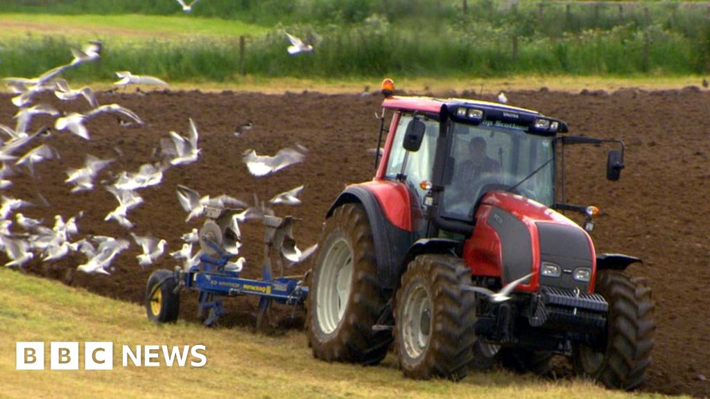Organised Farm Gangs Cause Spike In Cost Of Rural Crime