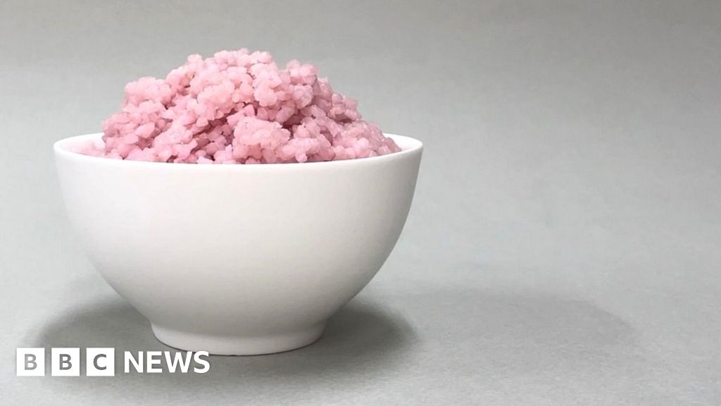 'Meaty' rice grown in lab for protein kick