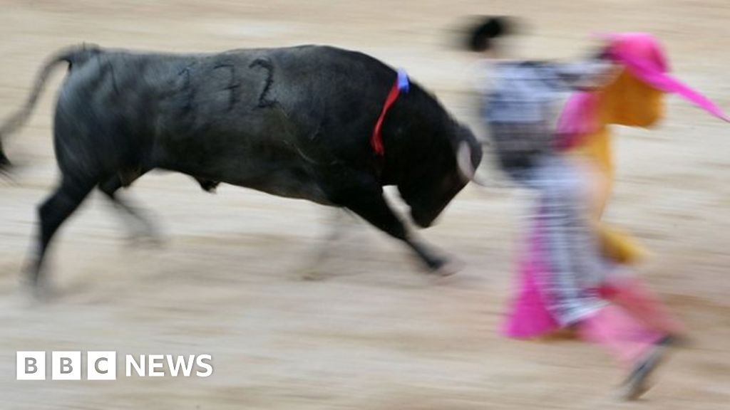 Has Bullfighting Put Facebook On Horns Of A Dilemma Bbc News