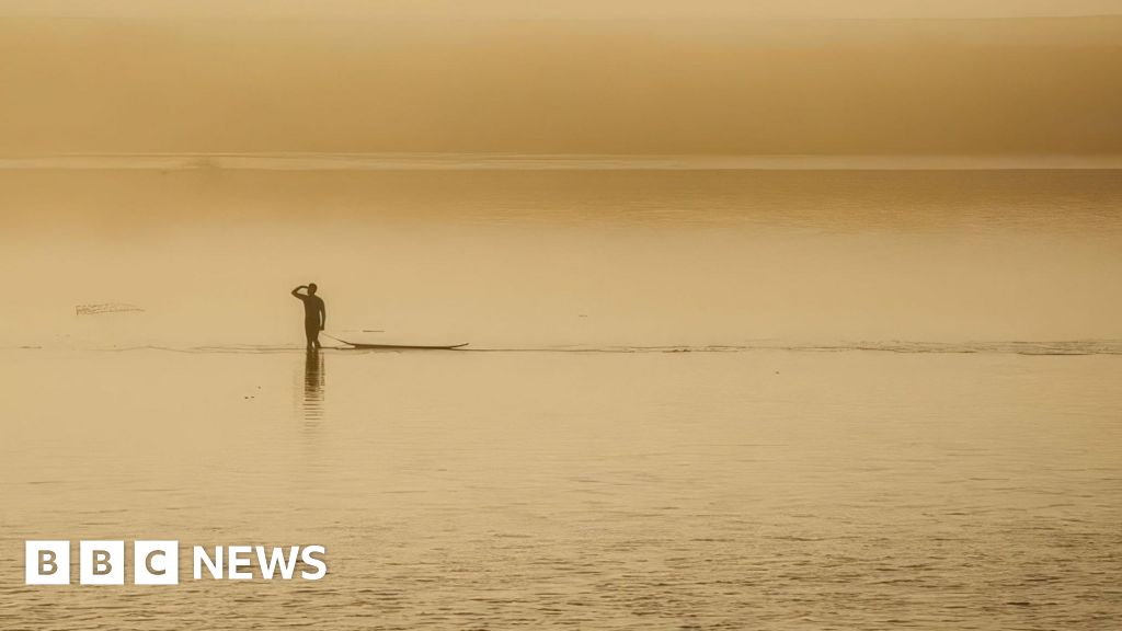 bbc.co.uk - Maisie Lillywhite - River Severn celebrated in new exhibition at Gloucester museum