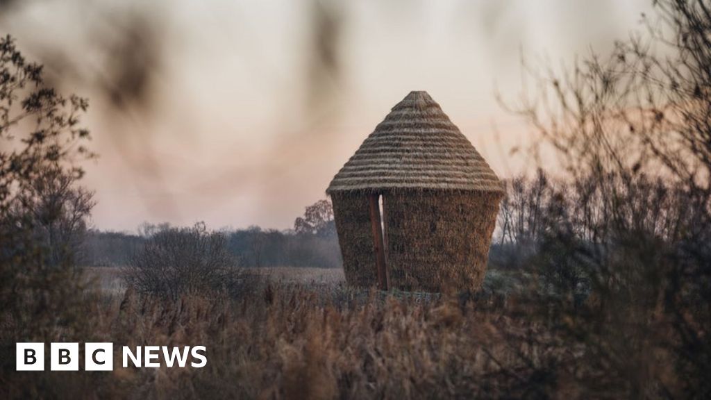 The viewing of the Moore through the art