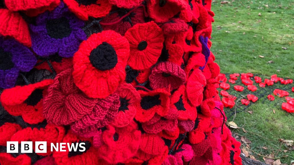 Park tree decorated with thousands of poppies