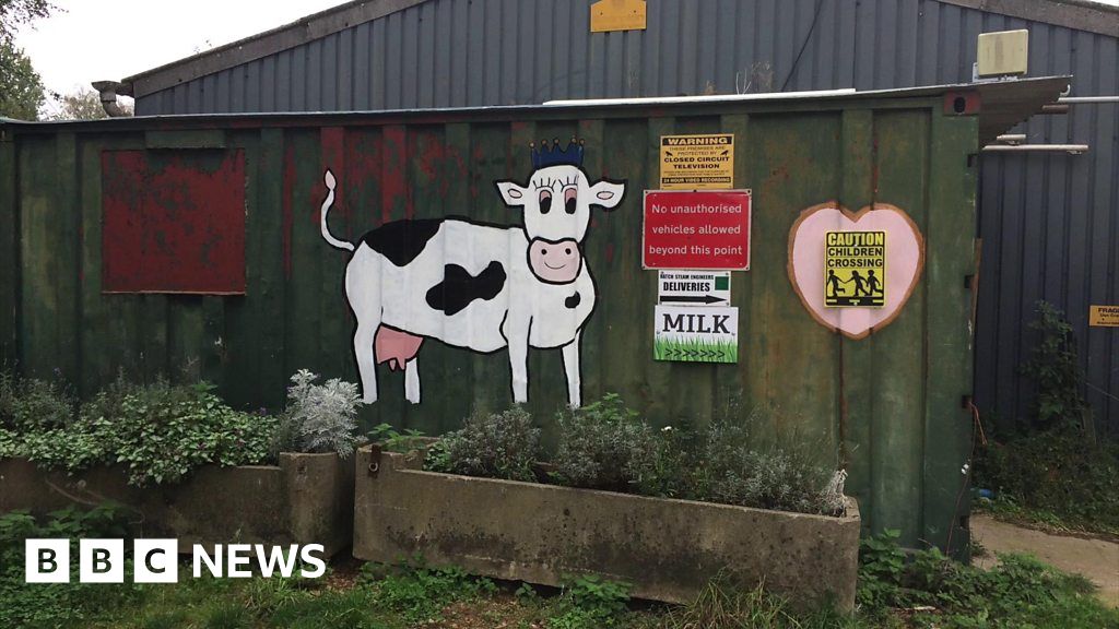 Wiltshire dairy farm invests in new equipment to get better milk price