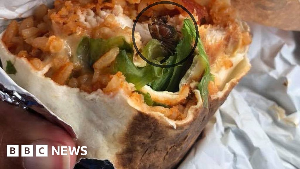 Cockroach found in Dunstable KFC Zinger burrito BBC News