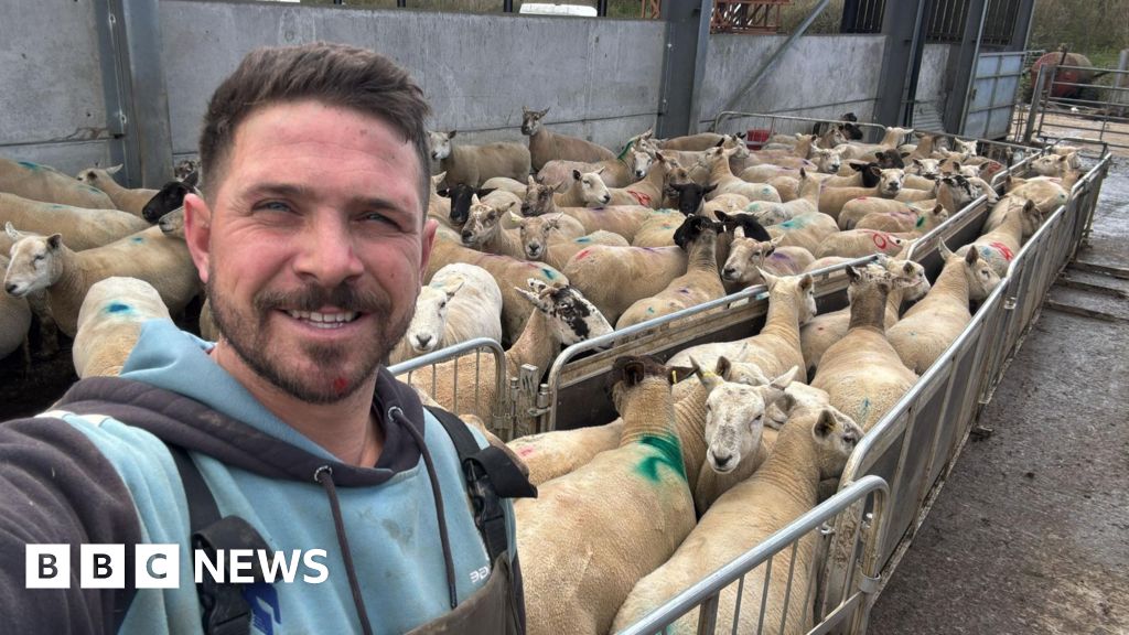 Dog owners face unlimited fines for farm livestock attacks