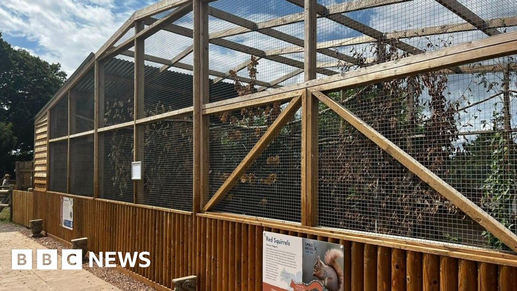 Enclosure in Ballycarroll (portnahinch By.)