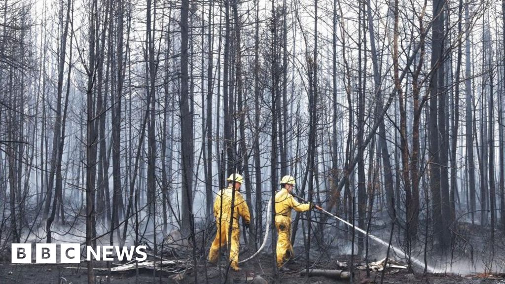 Canada could see its worst wildfire season on record