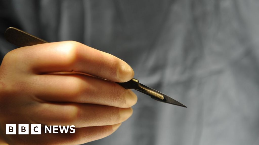Australia Convicts Two Over Female Genital Mutilation Bbc News 