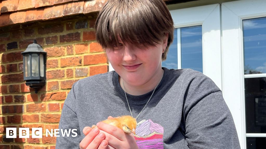 Finding Solace in the Fields: How Farm Work is Boosting Mental Wellbeing for Young People