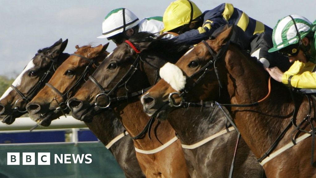 Scottish horse racing enjoys 'bumper year' BBC News