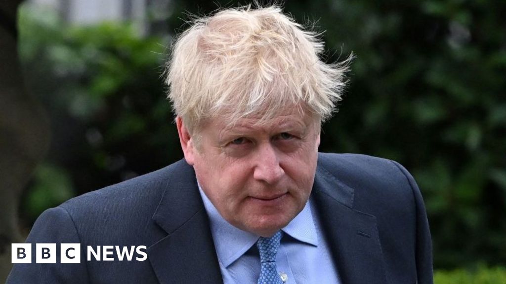 Boris Johnson lässt von der Regierung ernannte Anwälte für Covid-Ermittlungen im Stich