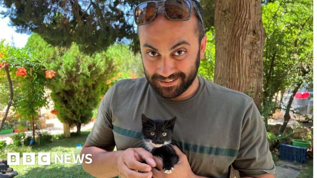 Issam Abdallah: Правозащитни групи искат Израел да бъде разследван за убит журналист