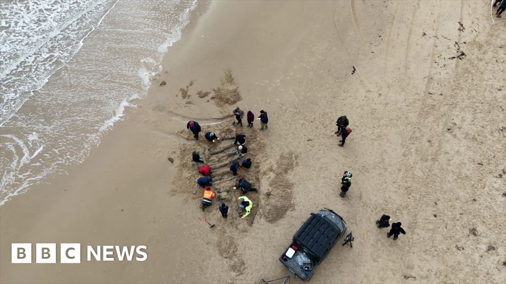 Shipwreck timbers from 17th Century excavated