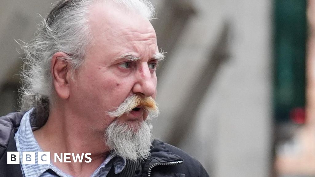 Terror accused 'fell in Covid-denier rabbit hole'