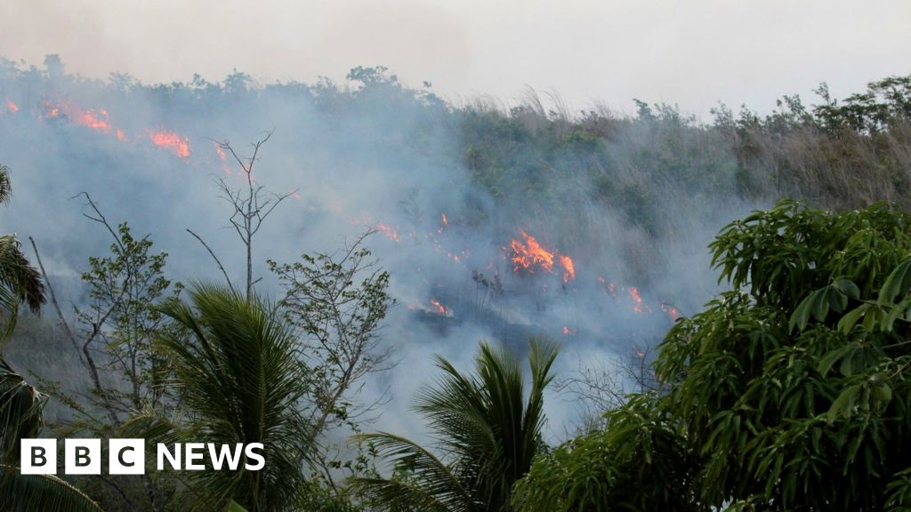 Amazon fires Humans make rainforest more flammable BBC News(00)