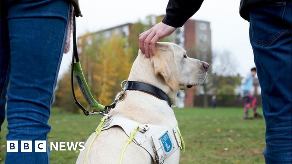 bbc guide dogs