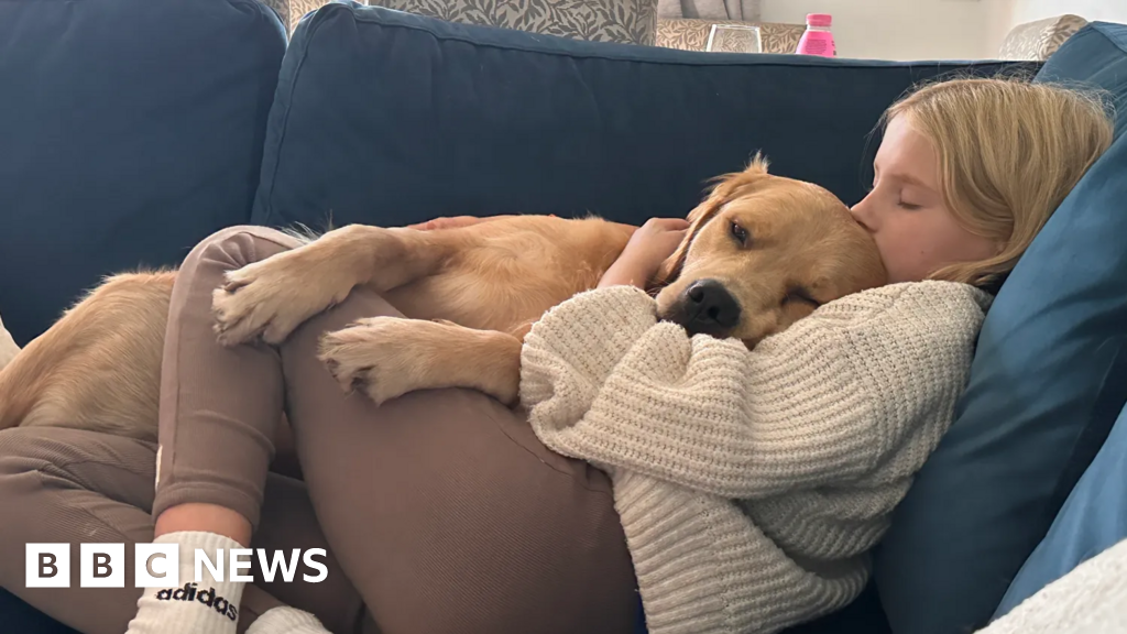 Dirty clothes used in search for teen's support dog missing in Highlands