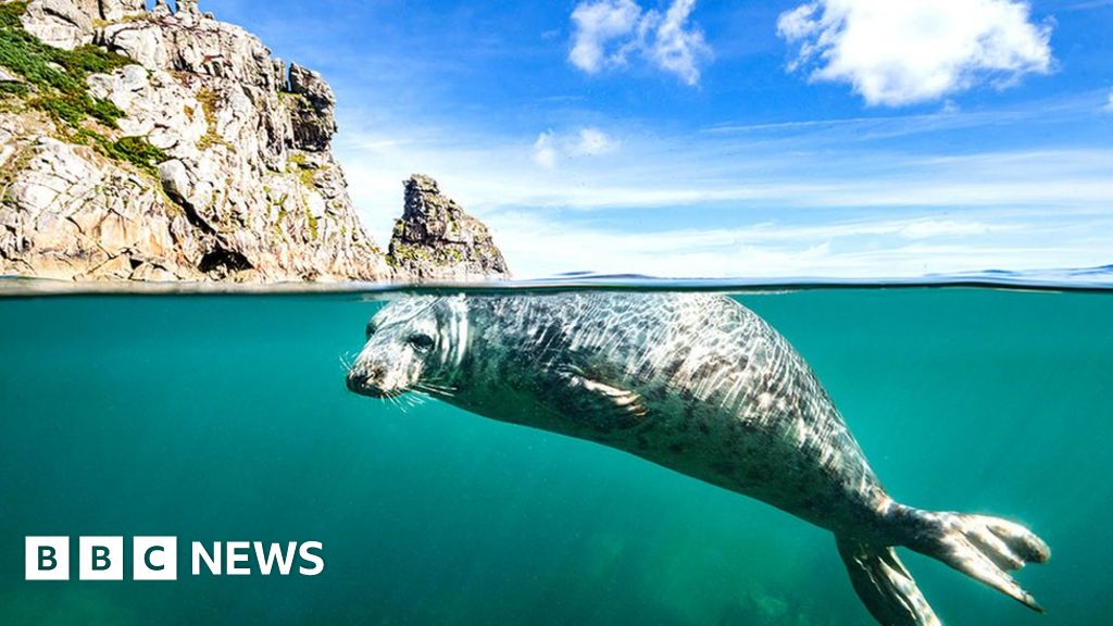 Extreme travel: It just got harder to see every place in the world - BBC Ne