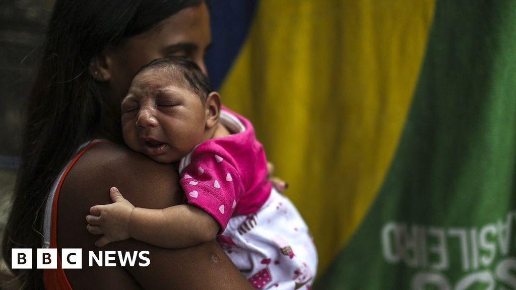 Zika Virus Brazil Says Emergency Is Over Bbc News 0394