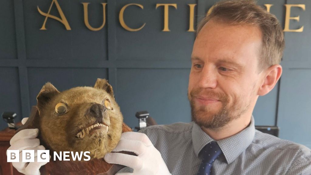 Head of extinct thylacine sells for £60k at auction
