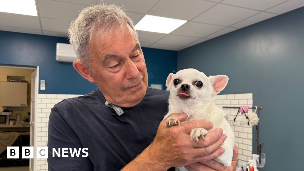 Absent pets leave Lincoln dog groomer out of pocket