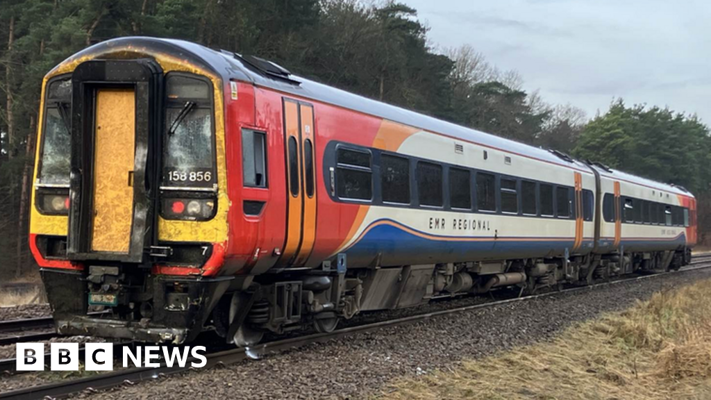 Tree Management Review Following Thetford Train Derailment