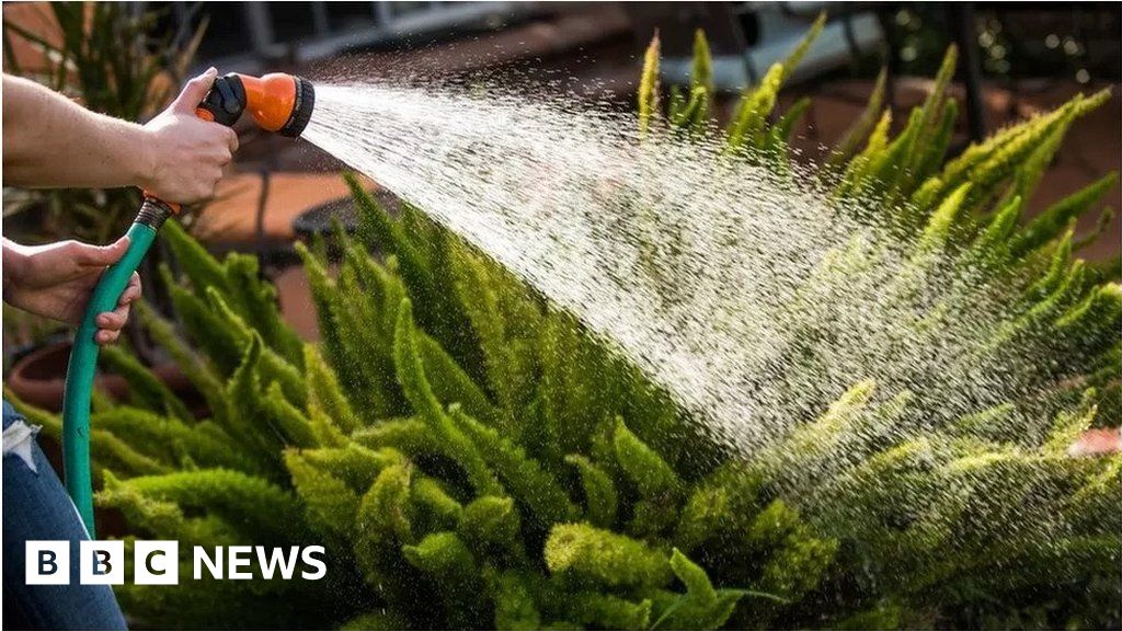 Kent and Sussex hosepipe ban announced amid water shortage