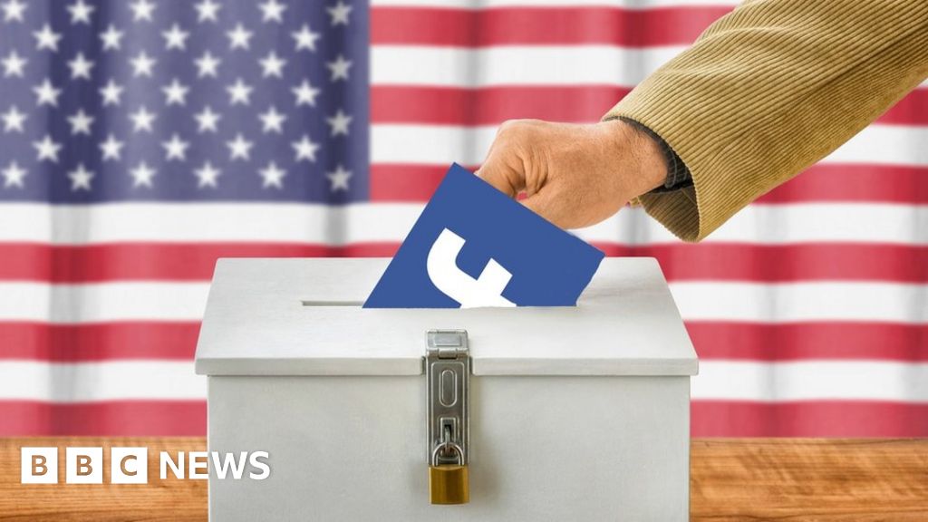 Facebook finds plot to mess with mid-terms