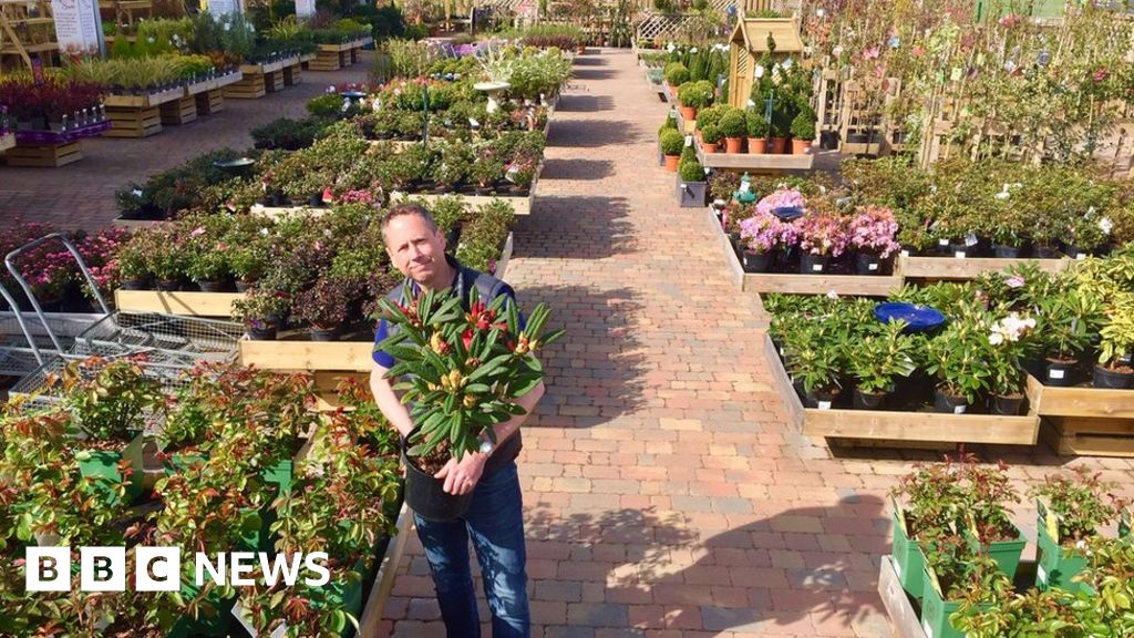Coronavirus Lockdown Garden Centres Still Have Plants Left To